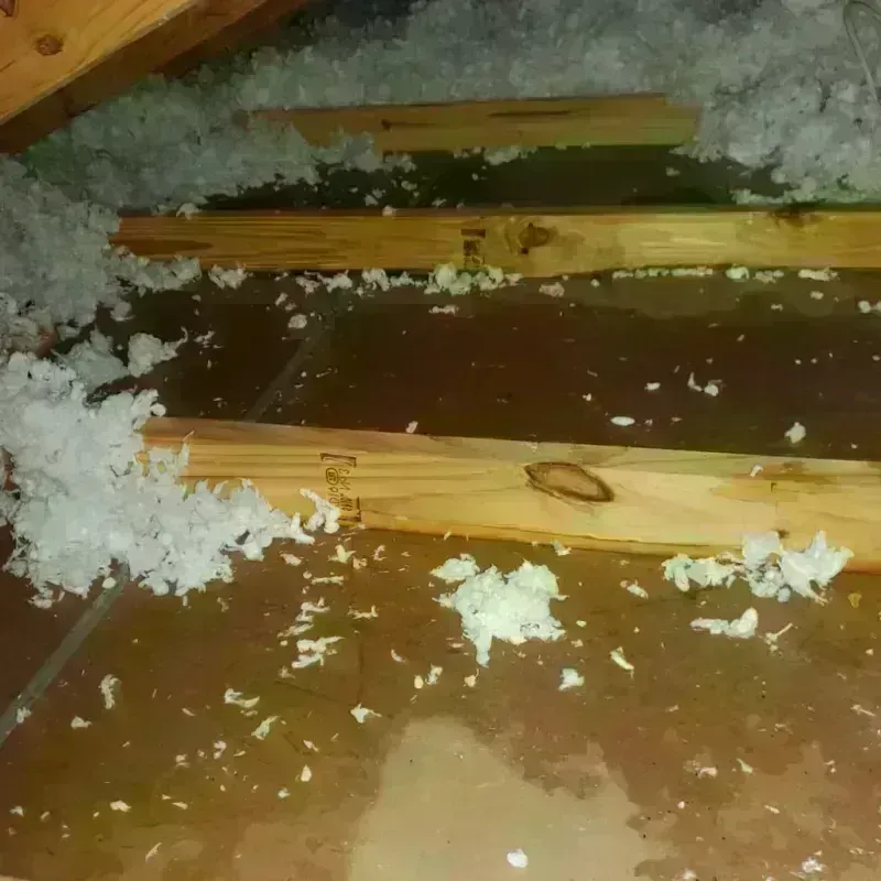 Attic Water Damage in Fulton County, AR