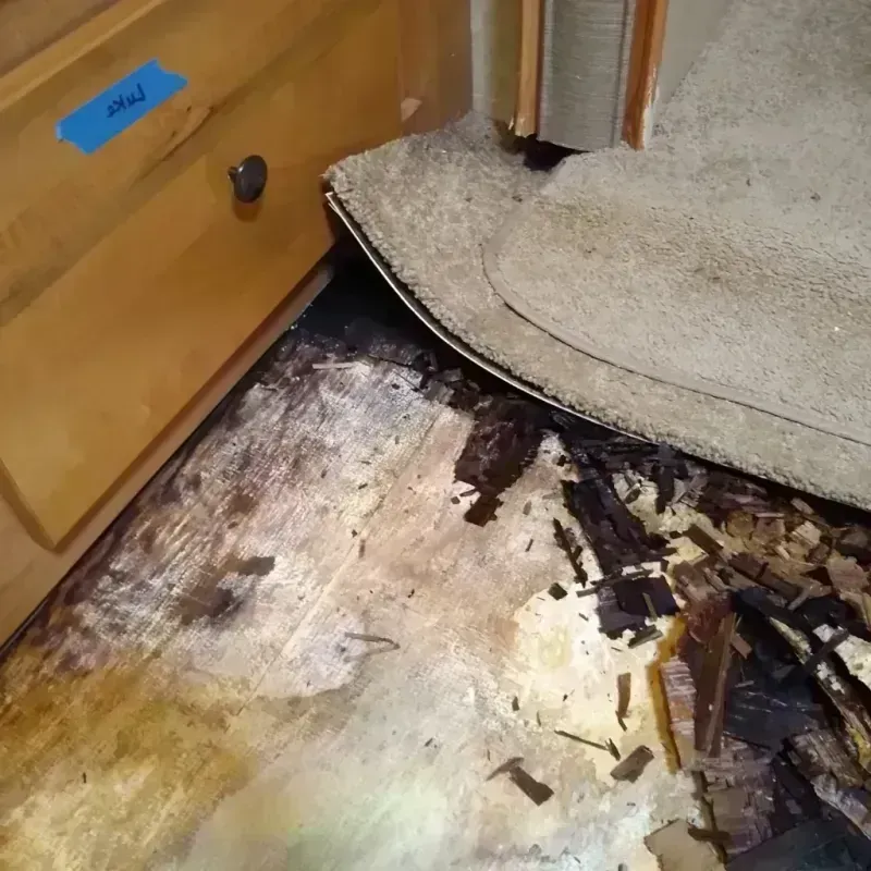 Wood Floor Water Damage in Fulton County, AR